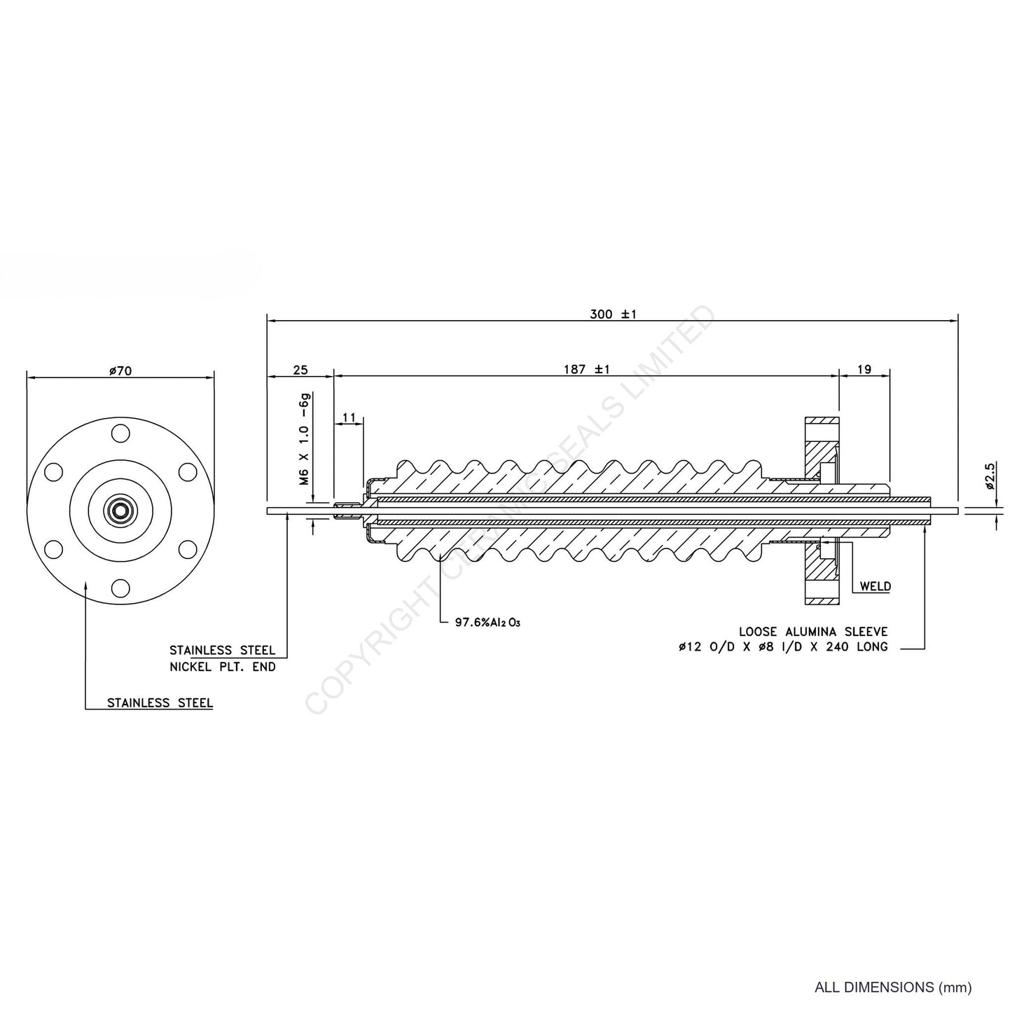 100kV Feedthrough Assembly Flanged
