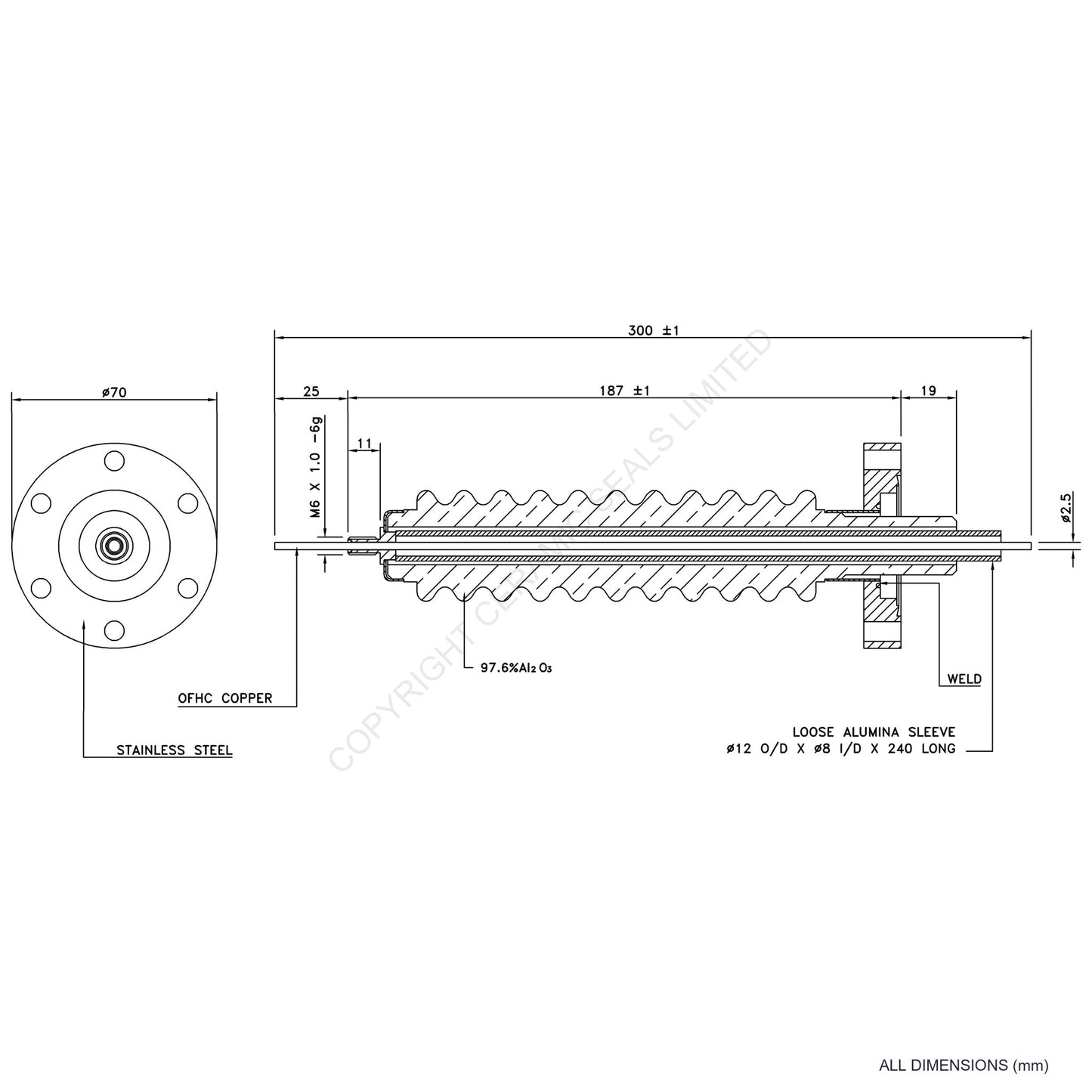 100kV Feedthrough Assembly Flanged