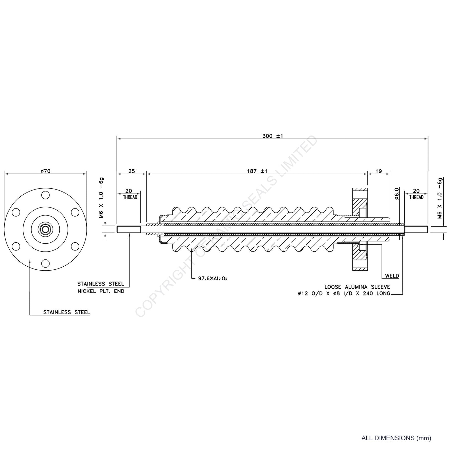 100kV Feedthrough Assembly Flanged