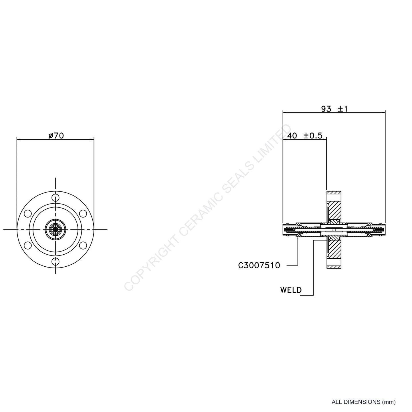 5kV MHV Double Ended Flanged Assembly