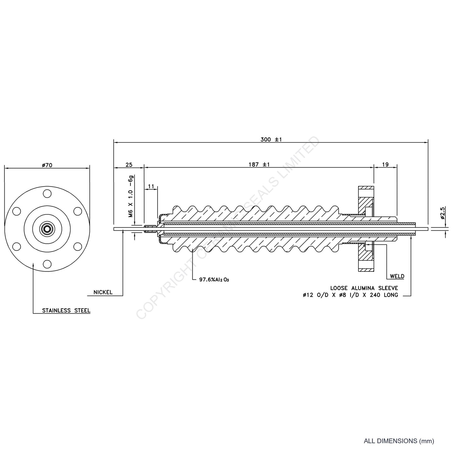 100kV Feedthrough Assembly Flanged