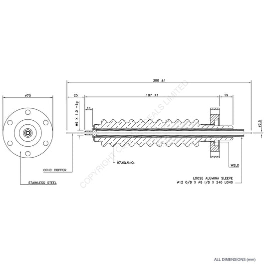 100kV Feedthrough Assembly Flanged