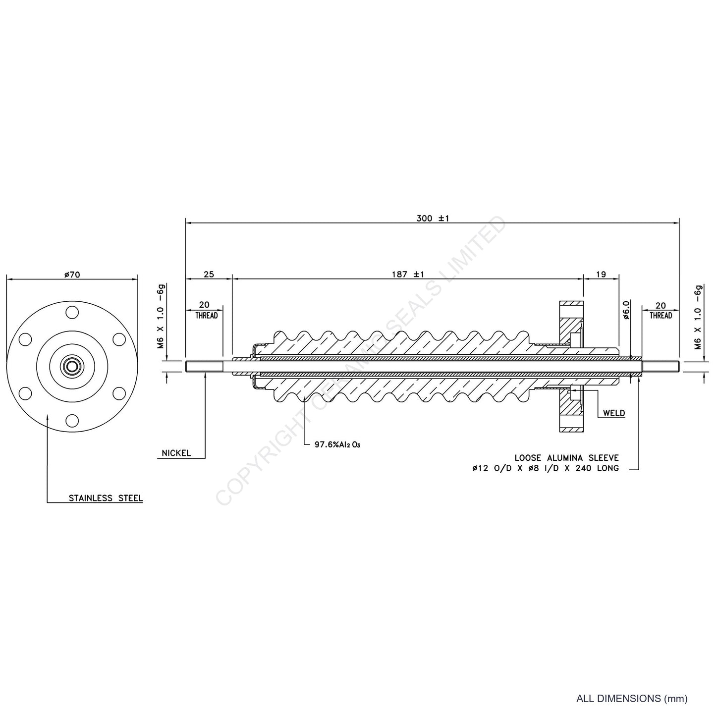 100kV Feedthrough Assembly Flanged