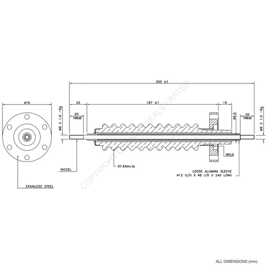100kV Feedthrough Assembly Flanged