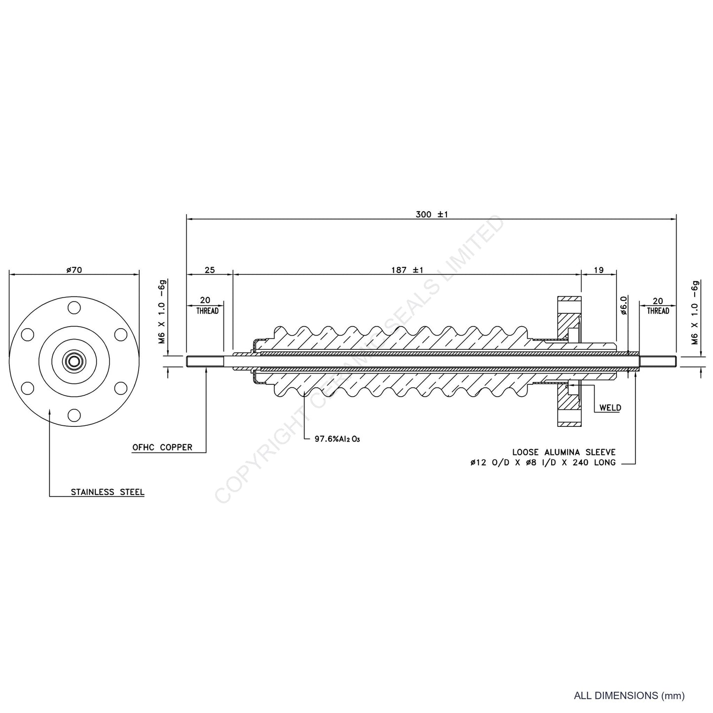 100kV Feedthrough Assembly Flanged