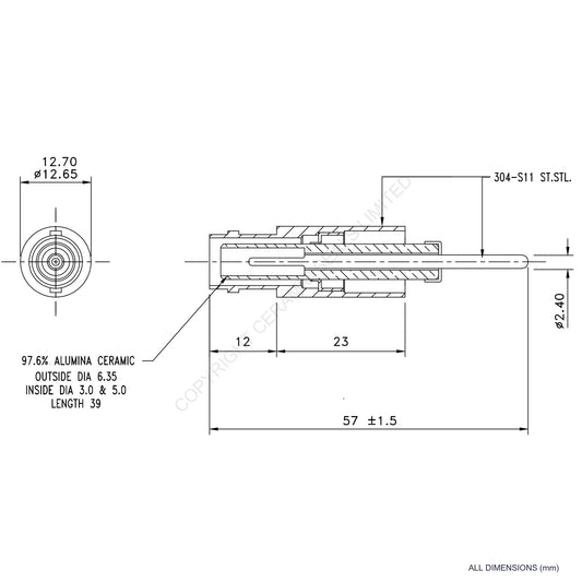 10kV SHV Feedthrough