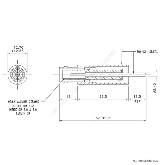 10kV SHV Feedthrough