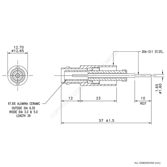 10kV SHV Feedthrough