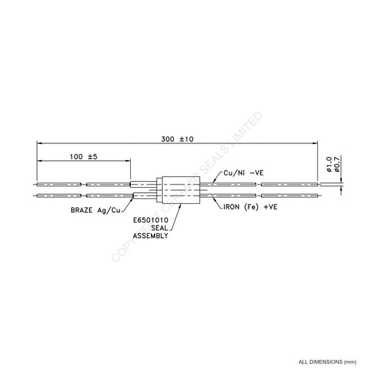 Twin Thermocouple Type J