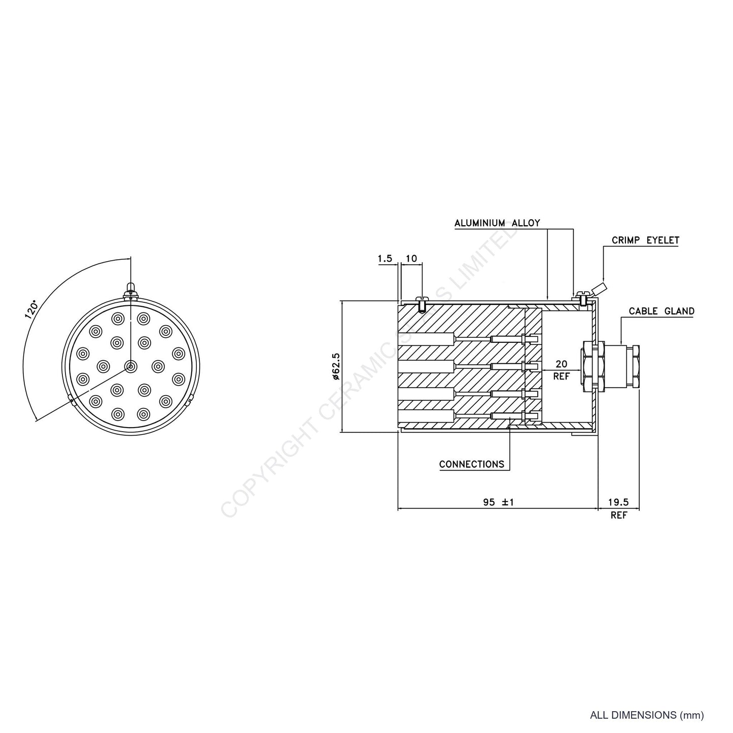 19 Pin Plug